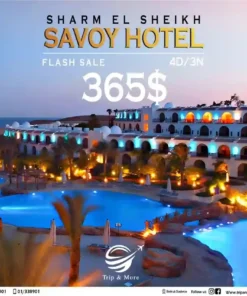 FEBRUARY PROMOTION sharm el sheikh travel package in lebanon