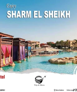 Special offer Starting your summer vacation with us Sharm El Sheikh For more details contact us on 0096170838901 00961 1 338901 Or visit us on Www.tripandmorelb.com Your travel agency in lebanon #summertravel2022 #summer #summervibes #travelinspiration #traveler #forupage #foryoupage #beirut #beirutairport #tripoli #jounieh #mountainlebanon🇱🇧 #sharmelsheikh #cairo #turkey🇹🇷 #marmaris #bodrum #antalya #hurgada #egypt #sohosquaresharm #nehmabay #tripandmore