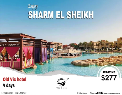 Special offer Starting your summer vacation with us Sharm El Sheikh For more details contact us on 0096170838901 00961 1 338901 Or visit us on Www.tripandmorelb.com Your travel agency in lebanon #summertravel2022 #summer #summervibes #travelinspiration #traveler #forupage #foryoupage #beirut #beirutairport #tripoli #jounieh #mountainlebanon🇱🇧 #sharmelsheikh #cairo #turkey🇹🇷 #marmaris #bodrum #antalya #hurgada #egypt #sohosquaresharm #nehmabay #tripandmore