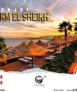 Our hot offer from trip and more Starting your summer vacation with us Sharm El Sheikh Book now For more details contact us on 0096170838901 00961 1 338901 Or visit us on Www.tripandmorelb.com Your travel agency in lebanon #summertravel2022 #summer #summervibes #travelinspiration #traveler #forupage #foryoupage #beirut #beirutairport #tripoli #jounieh #mountainlebanon🇱🇧 #sharmelsheikh #cairo #turkey🇹🇷 #marmaris #bodrum #antalya #hurgada #egypt #sohosquaresharm #nehmabay #tripandmore
