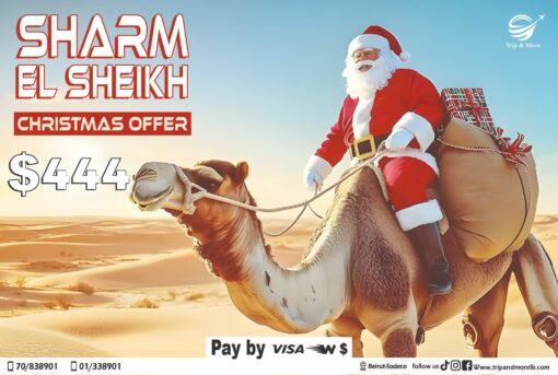 CHRISTMAS OFFER WITH TRIP AND MORE LEBANON AGENCY For more details contact us on 0096170838901 00961 1 338901 Or visit us on Www.tripandmorelb.com Your travel agency in lebanon #summertravel2022 #summer #summervibes #travelinspiration #traveler #forupage #foryoupage #beirut #beirutairport #tripoli #jounieh #mountainlebanon🇱🇧 #sharmelsheikh #cairo #turkey🇹🇷 #marmaris #bodrum #istanbul🇹🇷 #adana #antalya #hurgada #egypt #sohosquaresharm #nehmabay #tripandmore